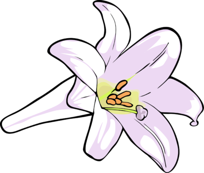 Lily Clip Art - Clip Art Of Lily (400x340)