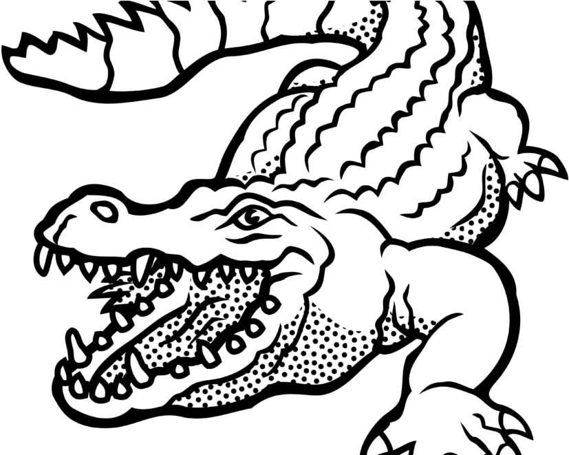 Clipart Projects Ideas Alligator Clipart Images Black - Alligator Black And White (880x660)