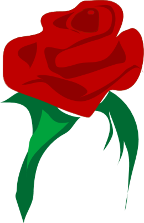 Free Architetto Rosa 2 - Red Flower Vector Png (600x923)