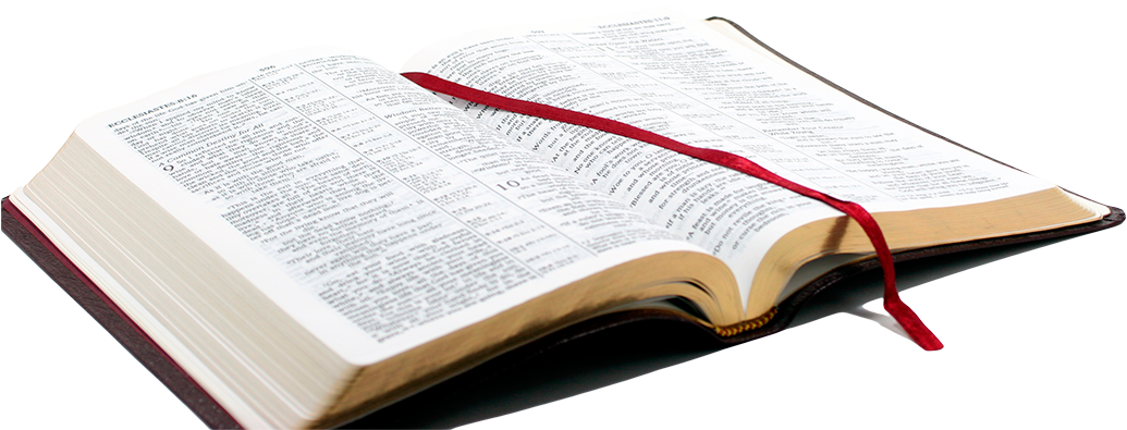 Png Bible - Open Bible Hd Png (1050x418)