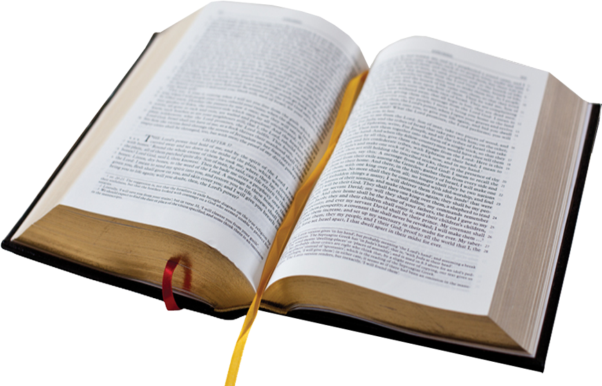 Use These Bible Vector Clipart Image - Transparent Bible (900x676)