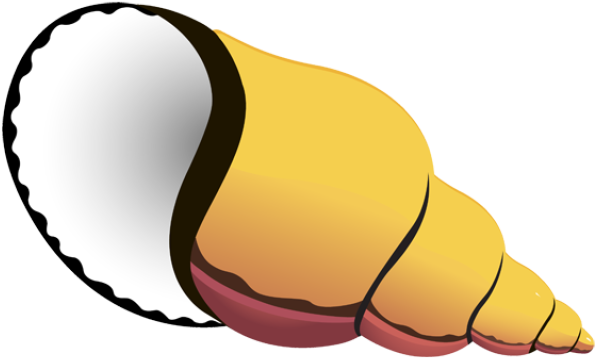 Free Clip Art Sea Shells - Clip Art Sea Shell (639x542)
