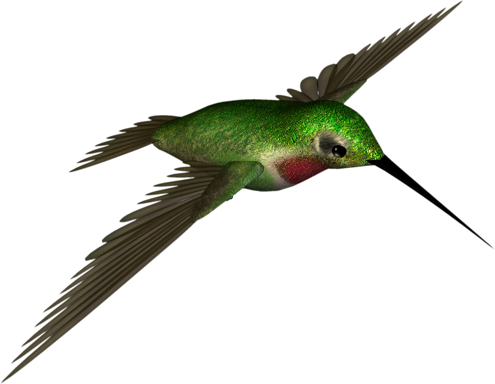 Free High Resolution Graphics And Clip Art - Hummingbird .png (1600x1240)