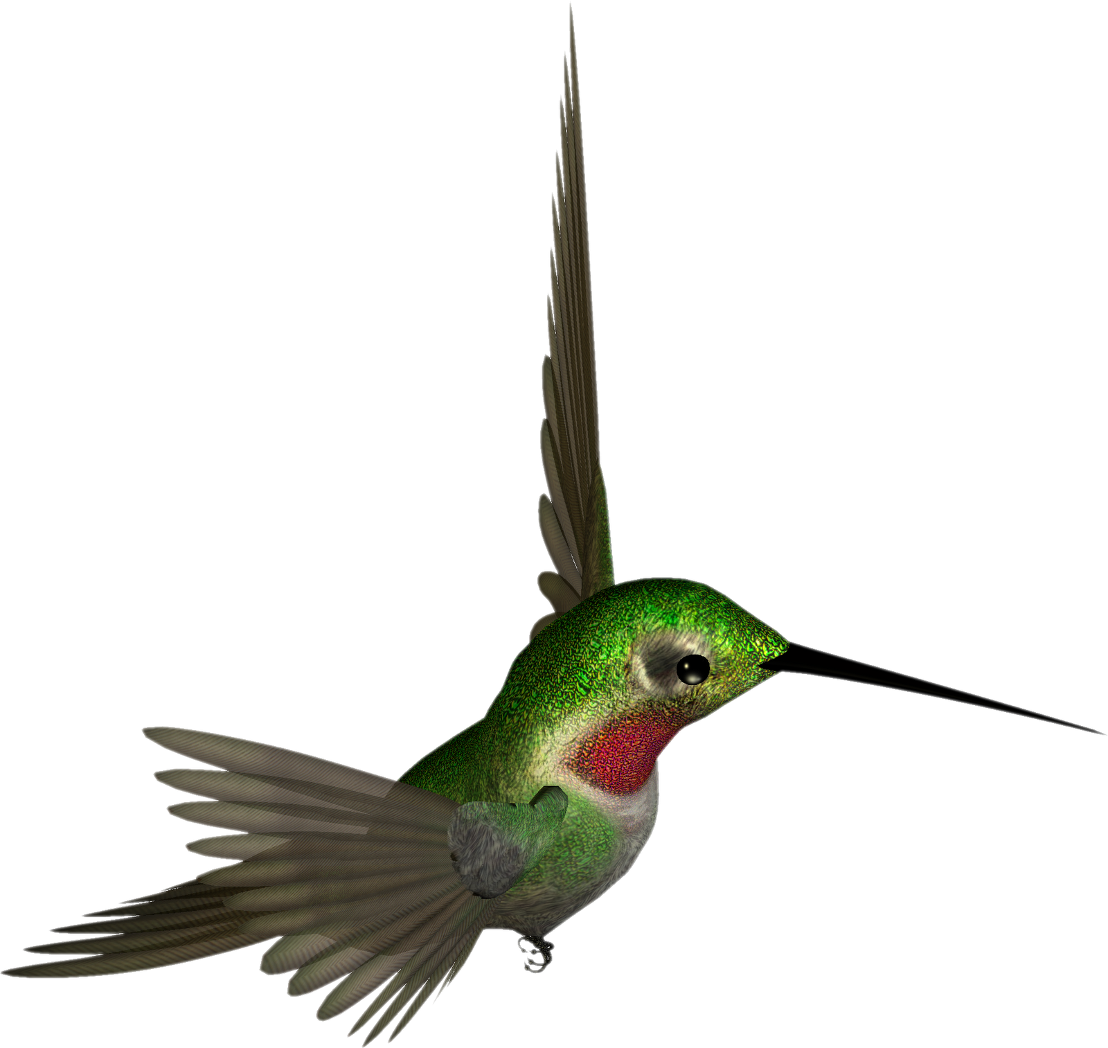 Free High Resolution Clip Art - Hummingbird Clipart (1600x1513)