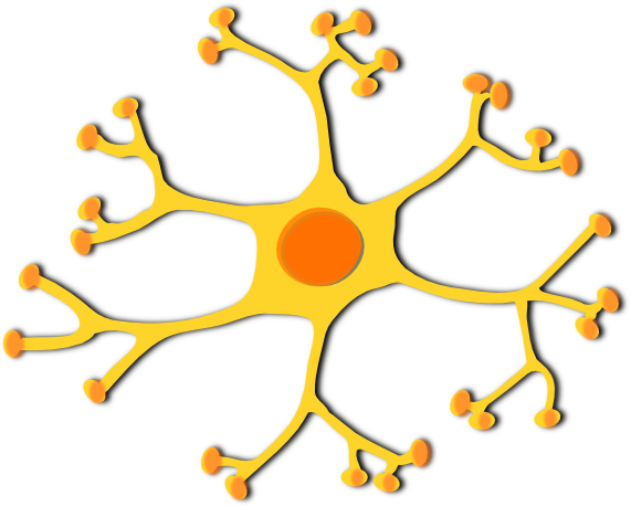 Neuronnar Clip Art At Clker - Dendritas De La Neurona (600x457)