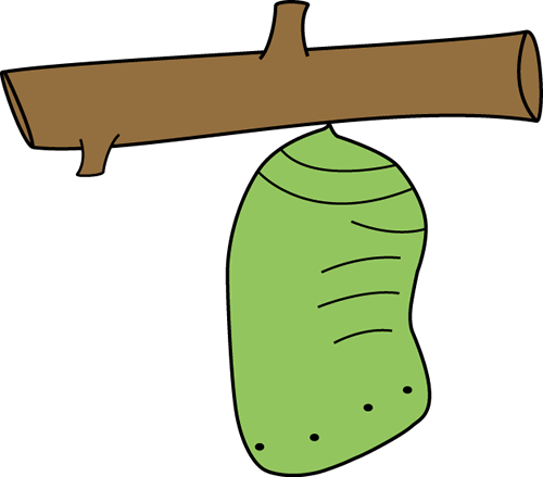 Chrysalis Cliparts - Chrysalis Clipart (500x439)