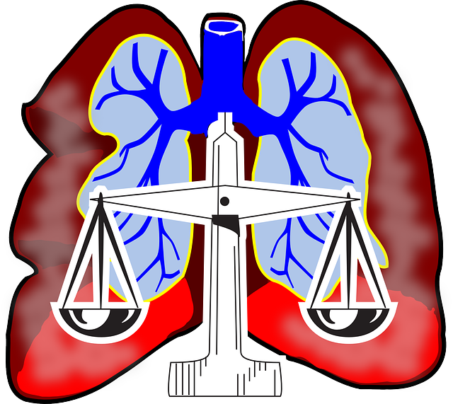 Diagram, Human, Scale, Air, Lawyer, System - Lungs Clip Art (807x720)