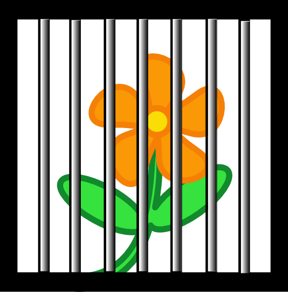 Flower Behind Bars Clip Art At Clker - Flower Behind Bars Clip Art At Clker (588x597)