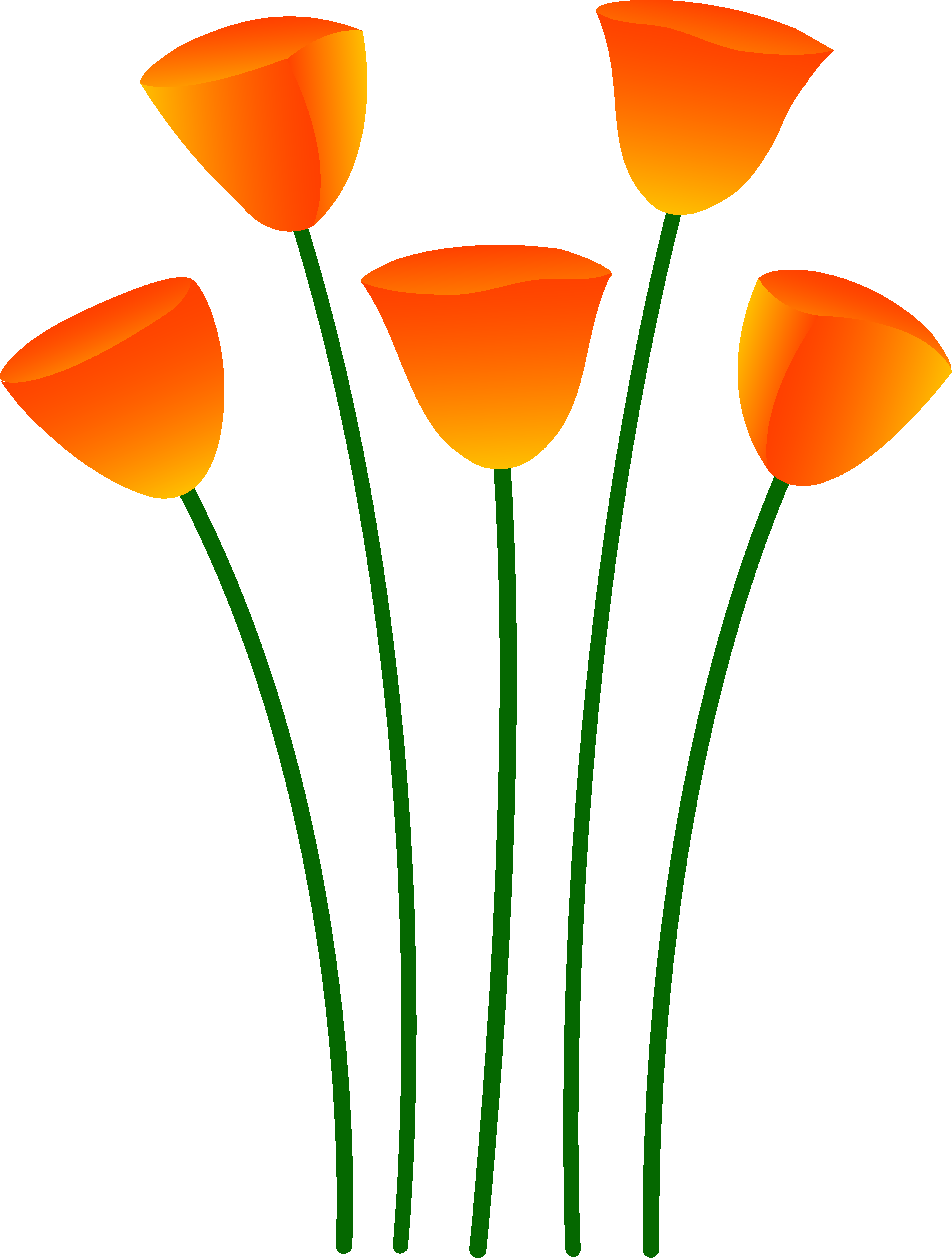 Clipart Info - Orange Flowers Clipart (5992x7919)