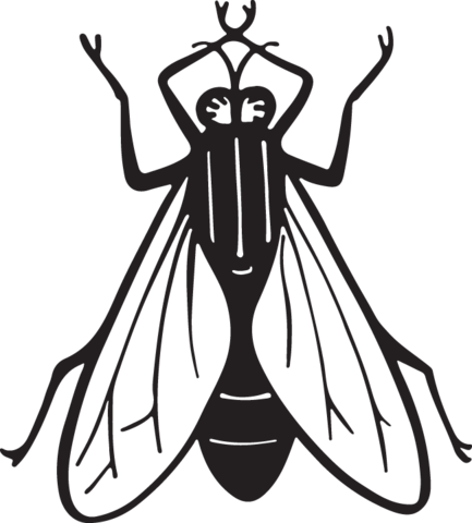 Insect - Art Print: Pop Ink - Csa Images' Housefly, 30x30in. (433x480)