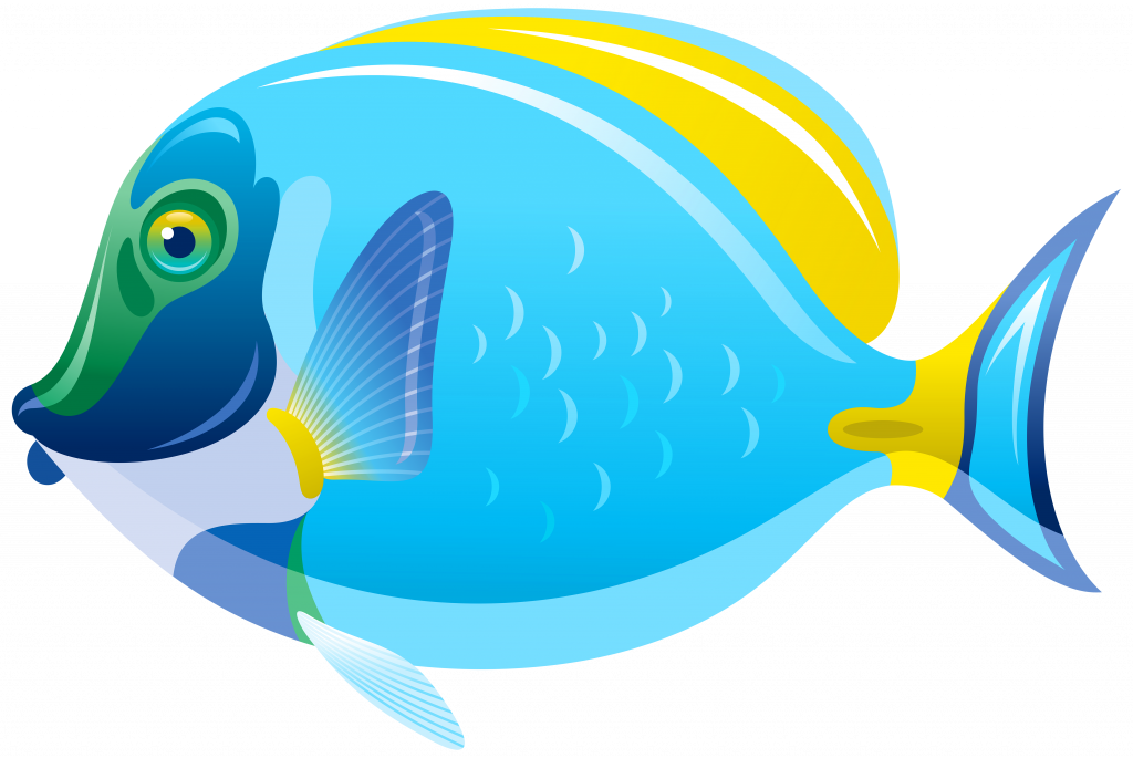 Fish Clip Art For Kids - Clip Art Fish Png (1024x685)