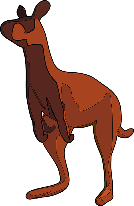 Kangaroo Png Images - Kangaroo (838x1280)