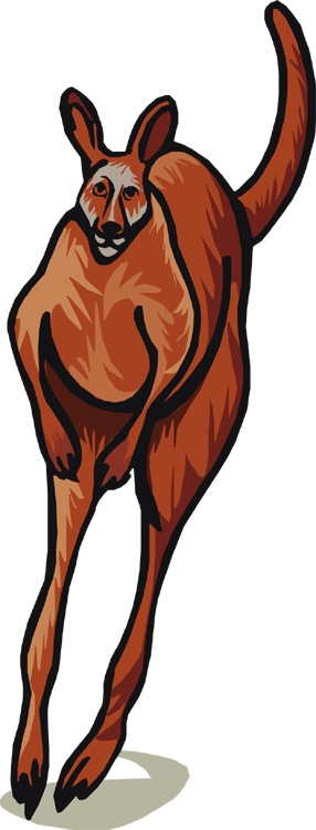 Kangaroo Hopping - Kangaroo (286x750)