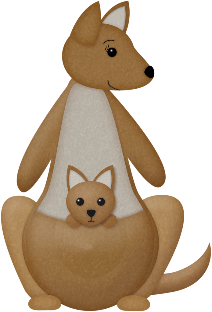 Enlarged To Make A Pouch Craft For Kangaroo Unit - Kangaroo (695x1024)