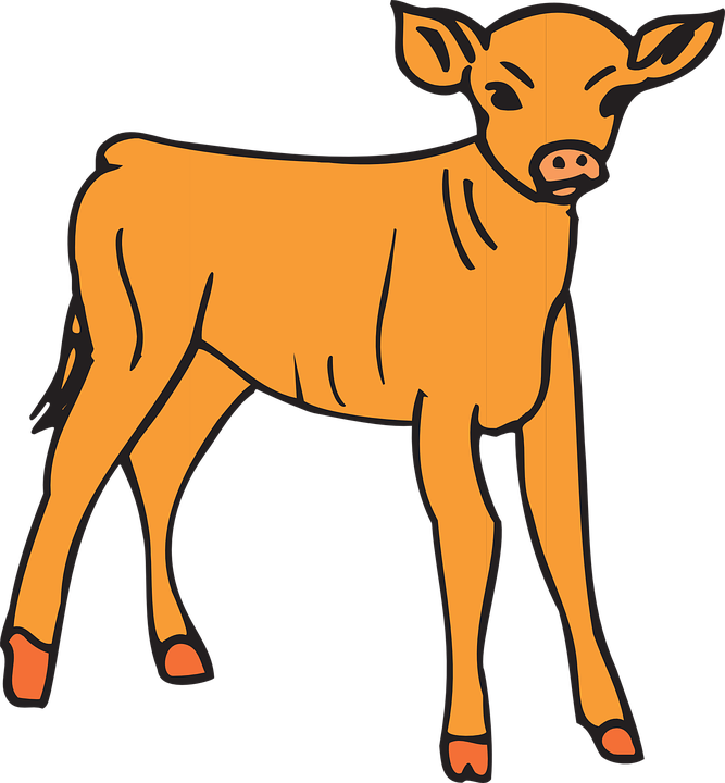 Calf Cattle Computer Icons Clip Art - Calf Cattle Computer Icons Clip Art (667x720)