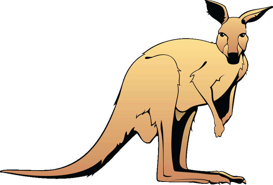 Jumping Kangaroo Clipart - Clip Art Wild Animal (900x610)