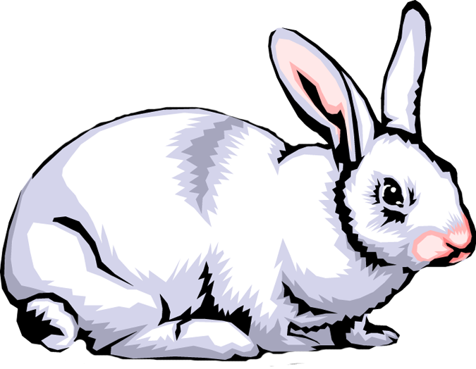 Rabbit Clip Art Images Free Clipart Png - Clipart Images Of Rabbit (675x524)