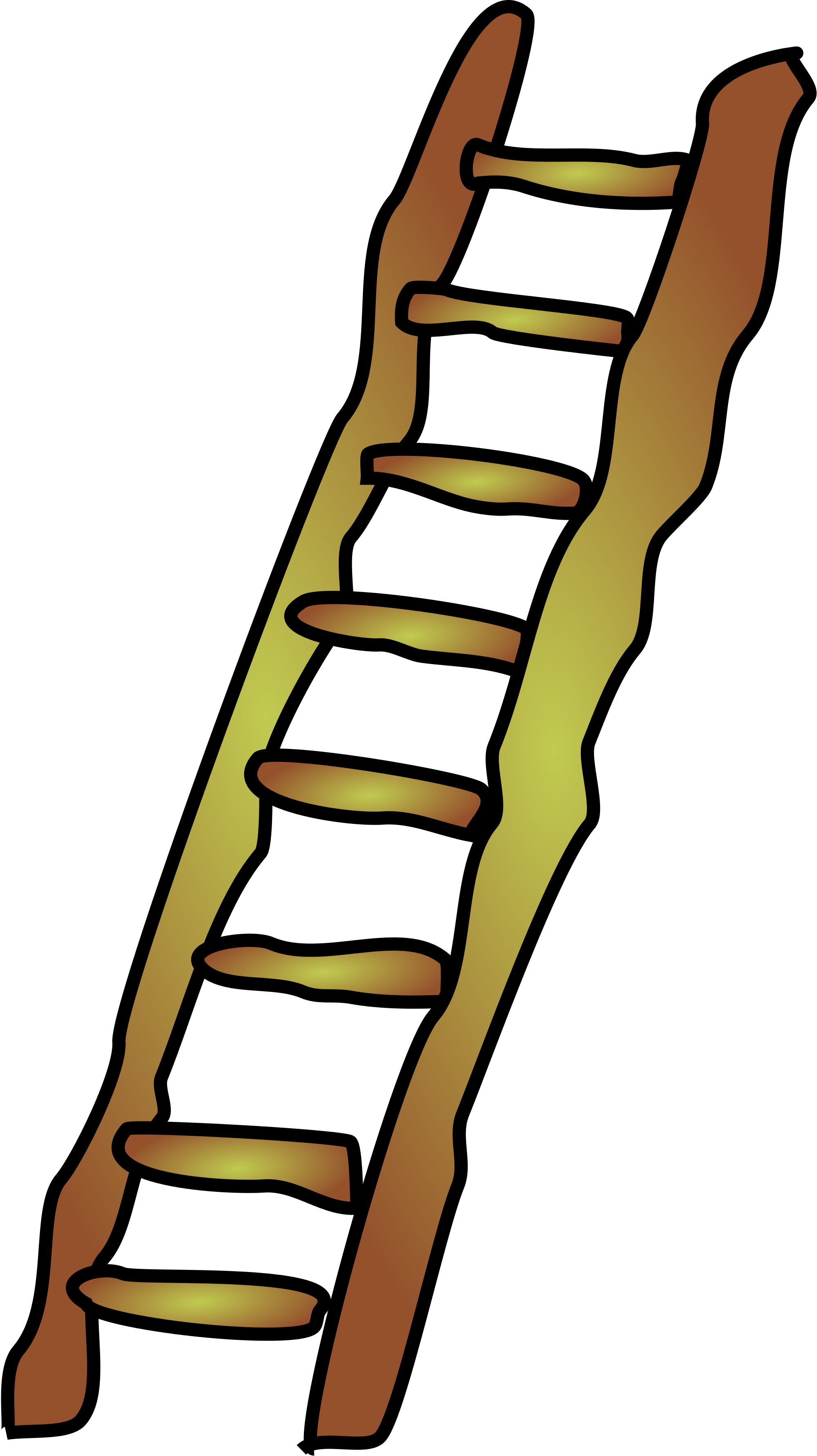 Open - Ladder Png Transparent (2000x3561)