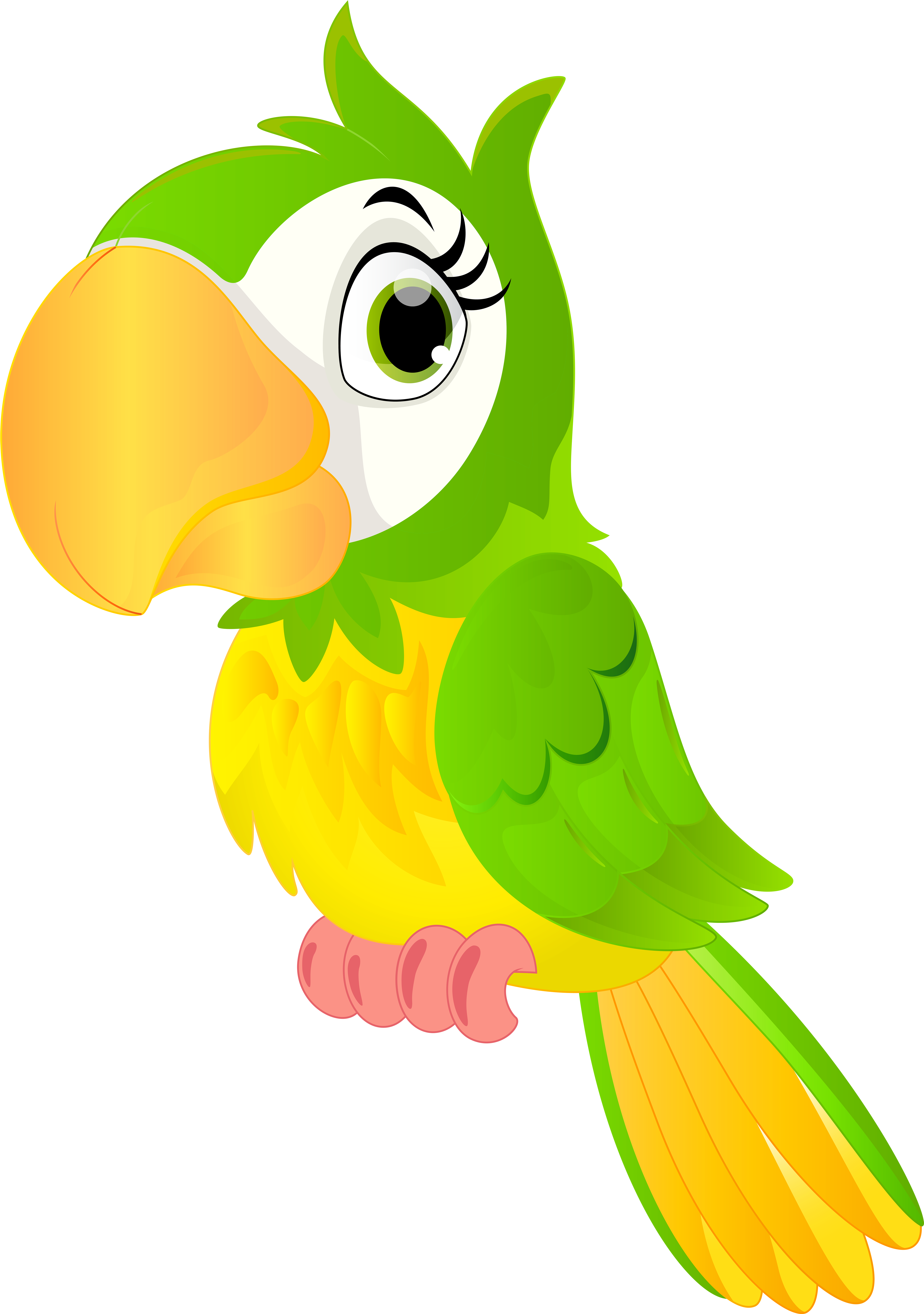 Parrot Cartoon Png Clip Art Image Png Art Images - Parrot Cartoon Png (480x683)