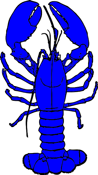 Red Lobster Shower Curtain (336x599)