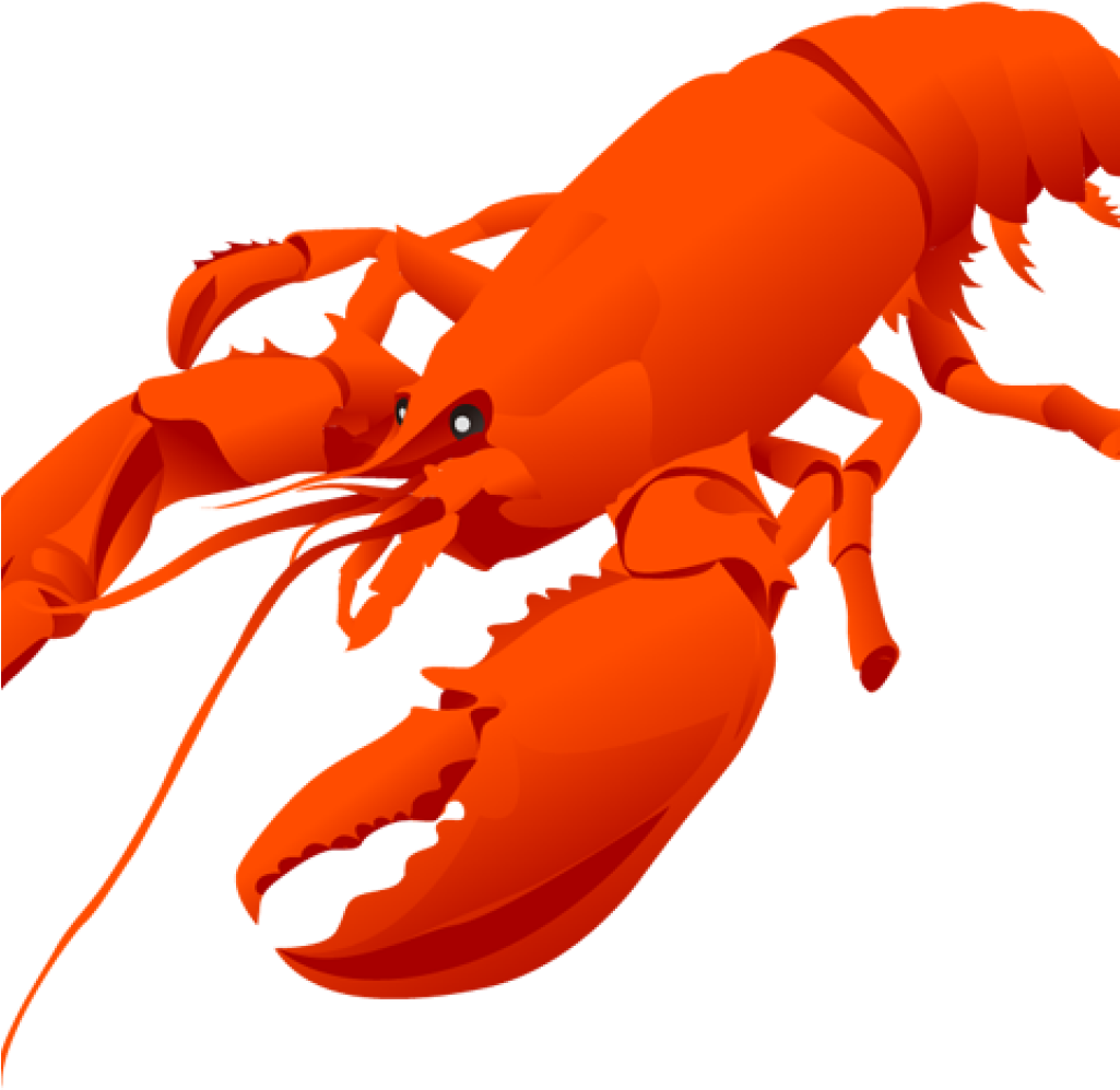 Lobster Clipart Clip Art Of A Lobster Clipart Panda - Lobster Illustration (1024x1024)