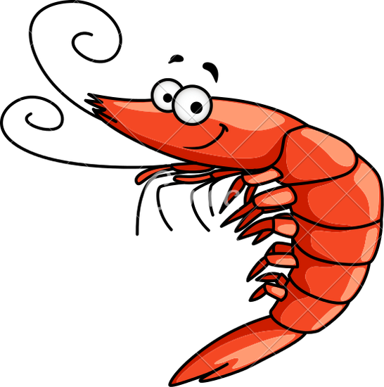Royalty-free Drawing Shrimp Clip Art - Shrimp Clipart (546x550)