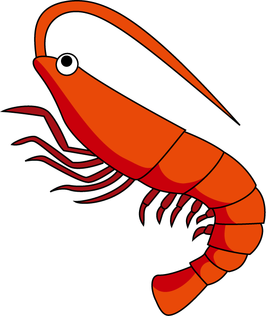 Shrimp Clipart The Cliparts - Shrimp Clip Art (532x633)
