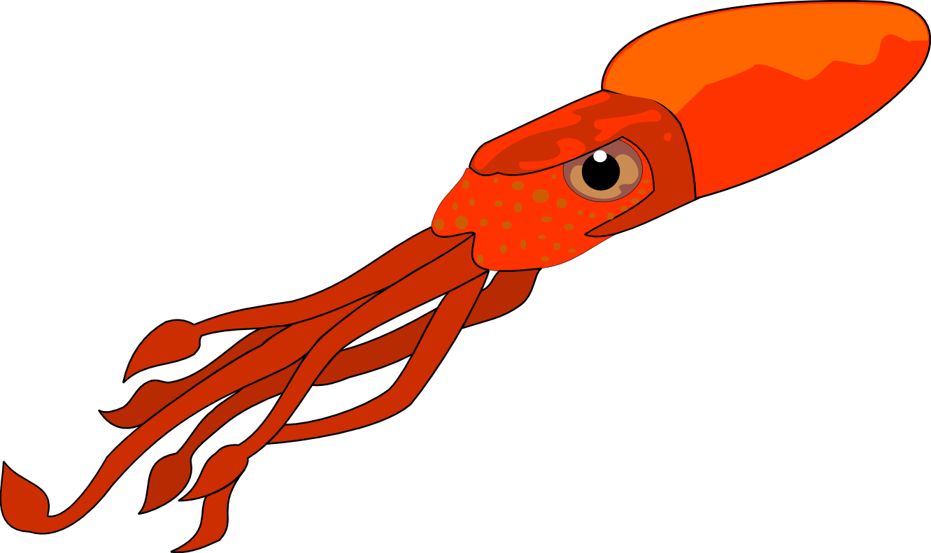 Squid Clip Art - Squid Clipart Png (1331x791)