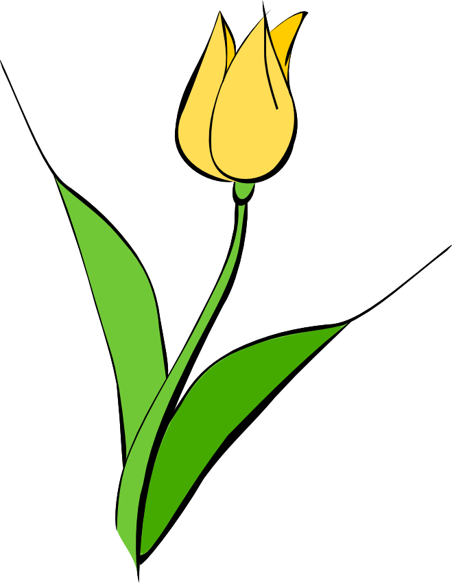 Spring - Clip Art Yellow Tulip (659x850)