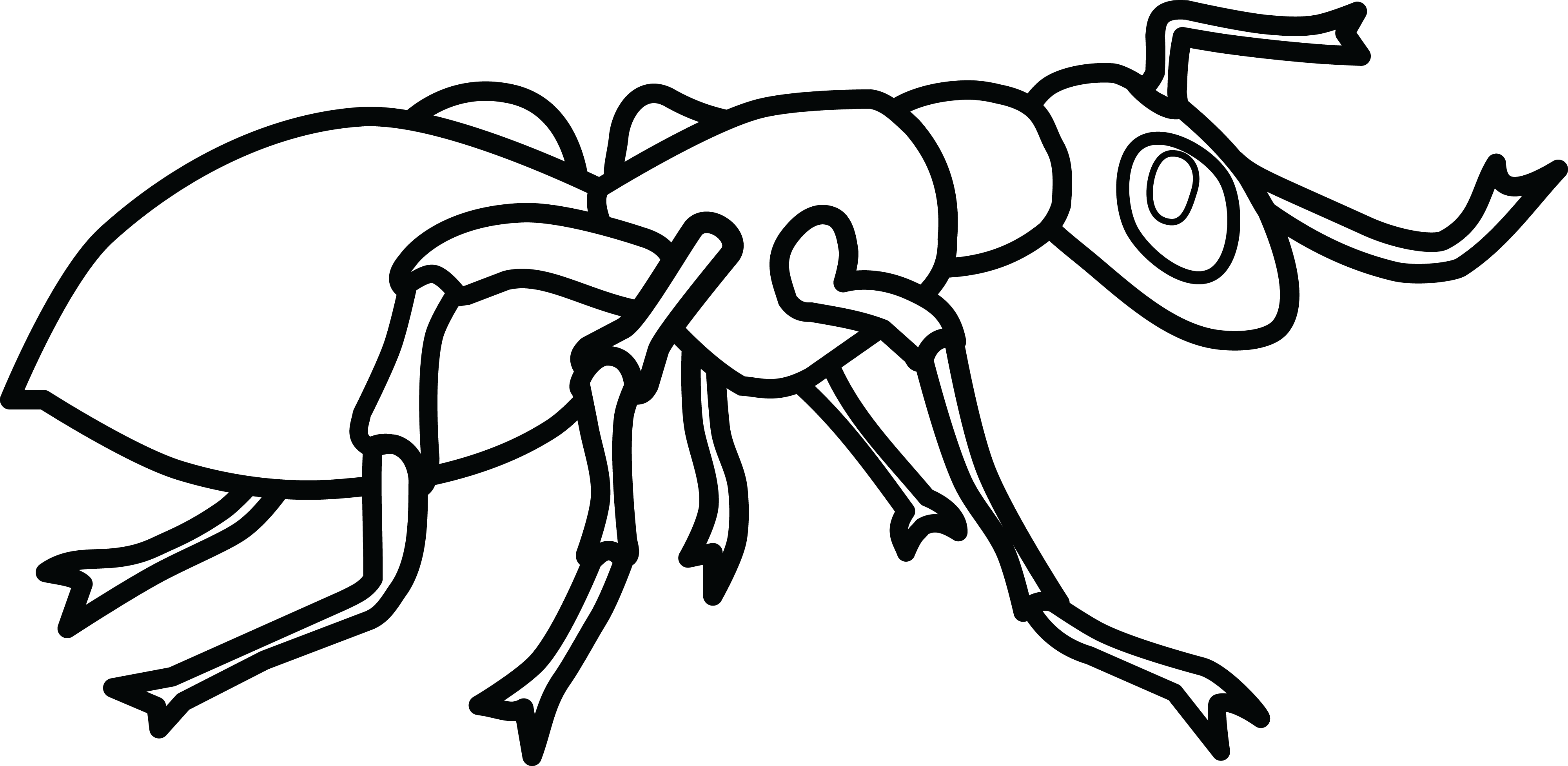 Free Clipart Of An Ant - Clip Art Black And White Ant (4000x1953)