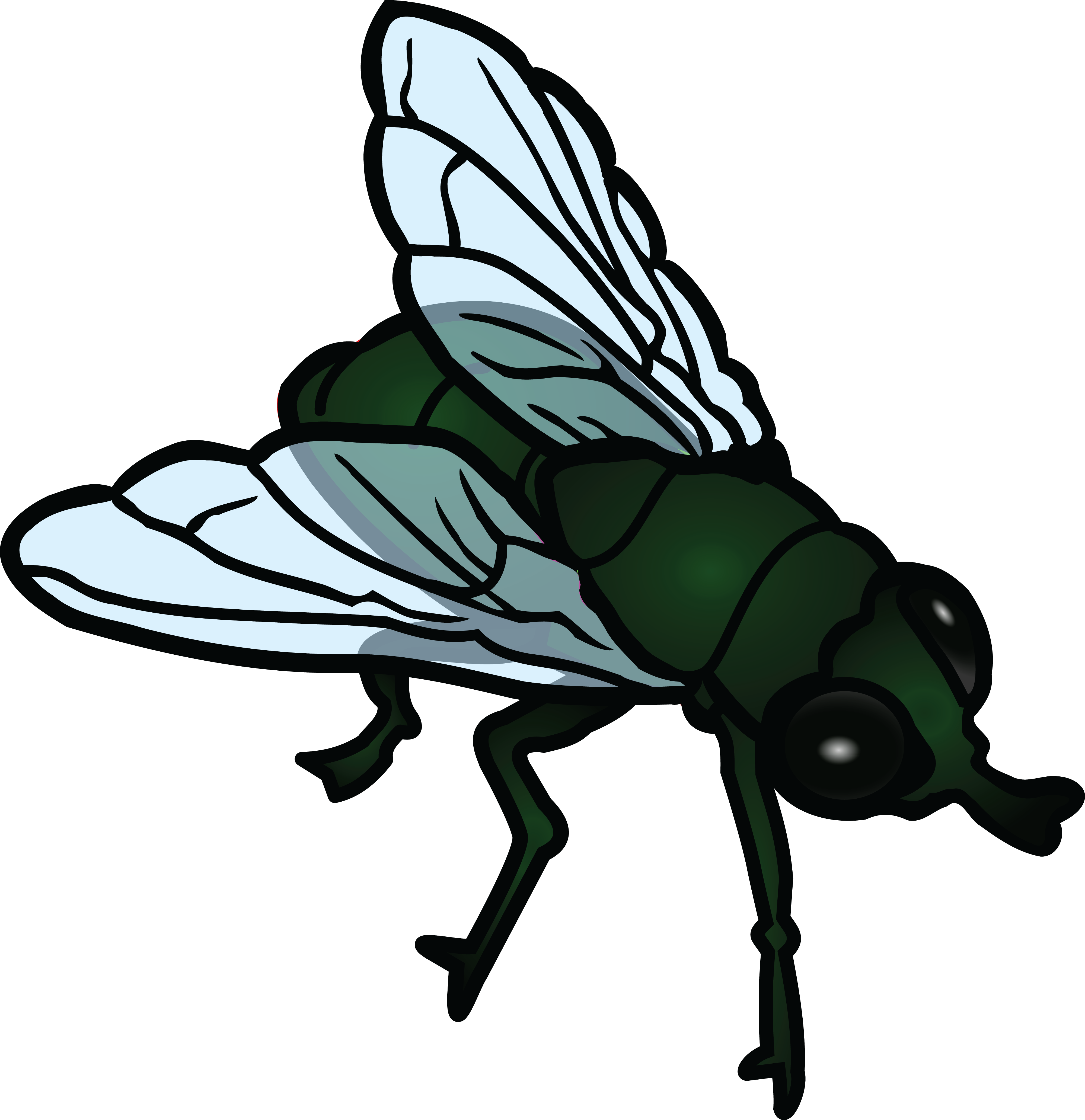 Free Clipart Of A Fly - Fly Clipart (4000x4130)