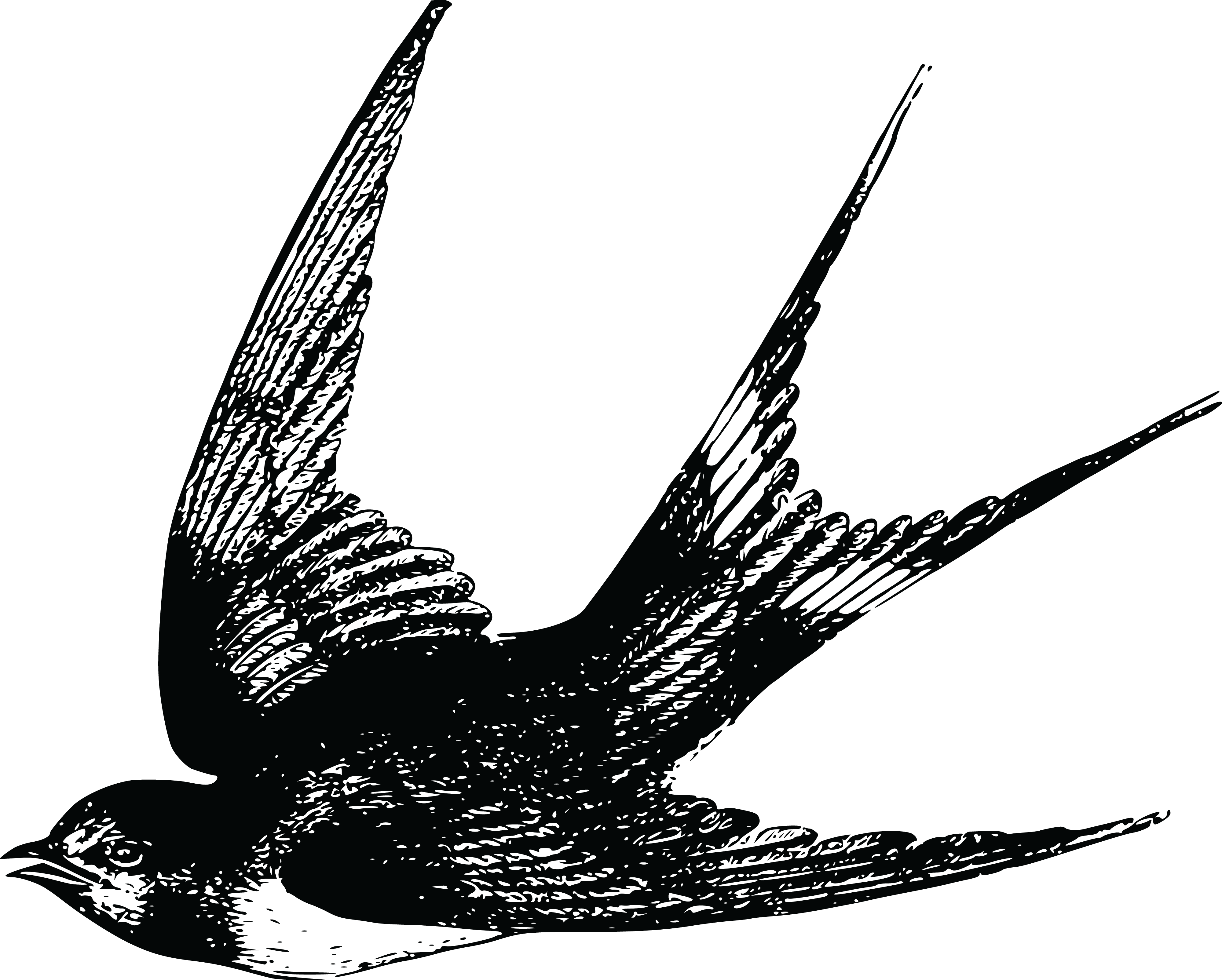 Free Clipart Of A Swallow - Swallow Tattoo Vintage (4000x3209)