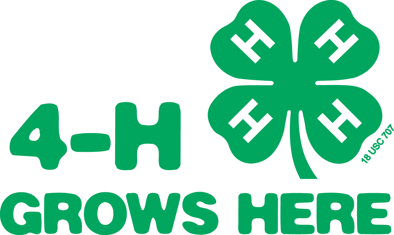 Inspirational Design 4 H Clipart Clip Art Clover - 4 H Grows Here (1313x786)