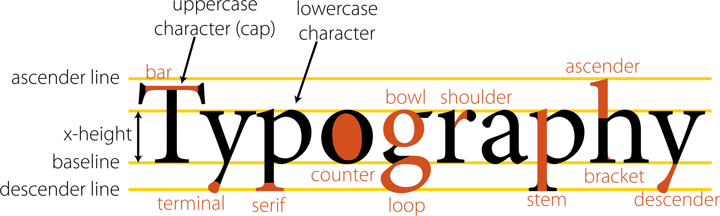 Anatomy In Typography Clipart Of Type - Typography Anatomy Of Type (2398x720)