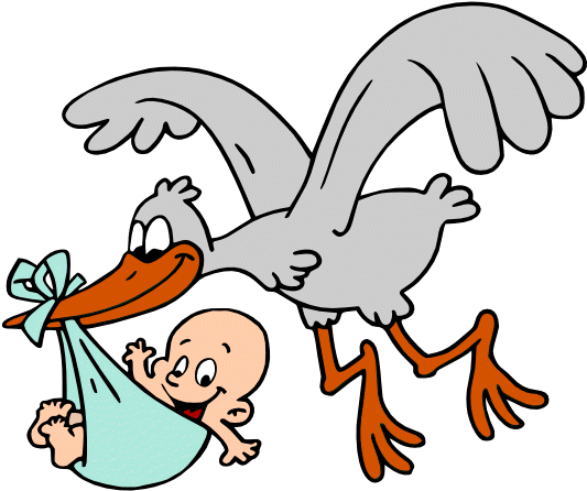 Stork With Baby Clipart Stork Carrying Ba Boy Cartoon - Stork Carrying Baby (635x494)