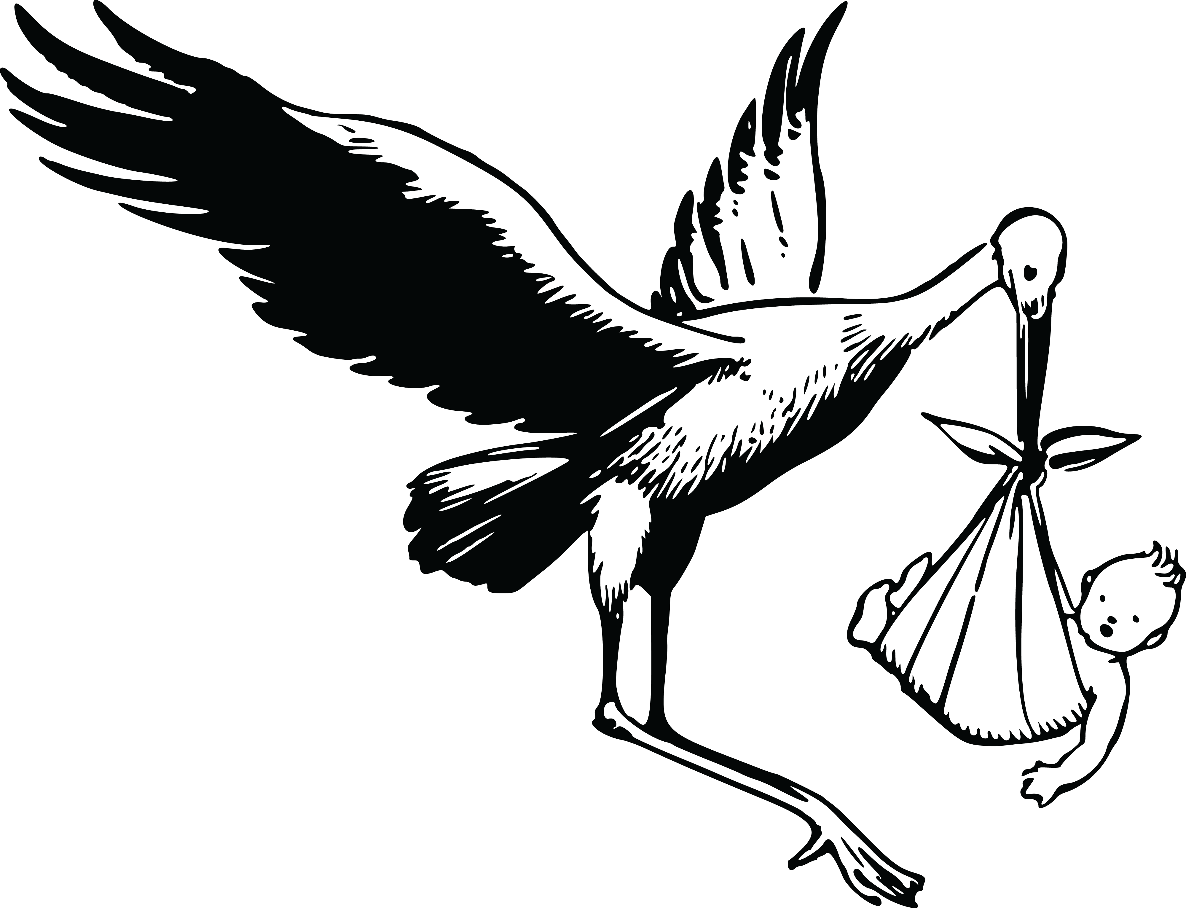 Free Clipart Of A Stork And Baby - Black And White Stork (4000x3062)