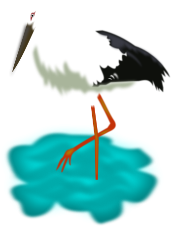 White Stork (566x800)