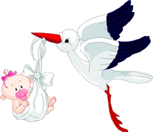 Stork Carrying Baby Girl 1 600 × 600 Pixlar - Cegonha E Bebe Desenho (600x600)