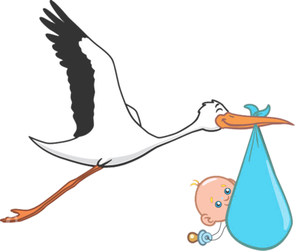 Download - Stork Baby Transparent Background (600x511)