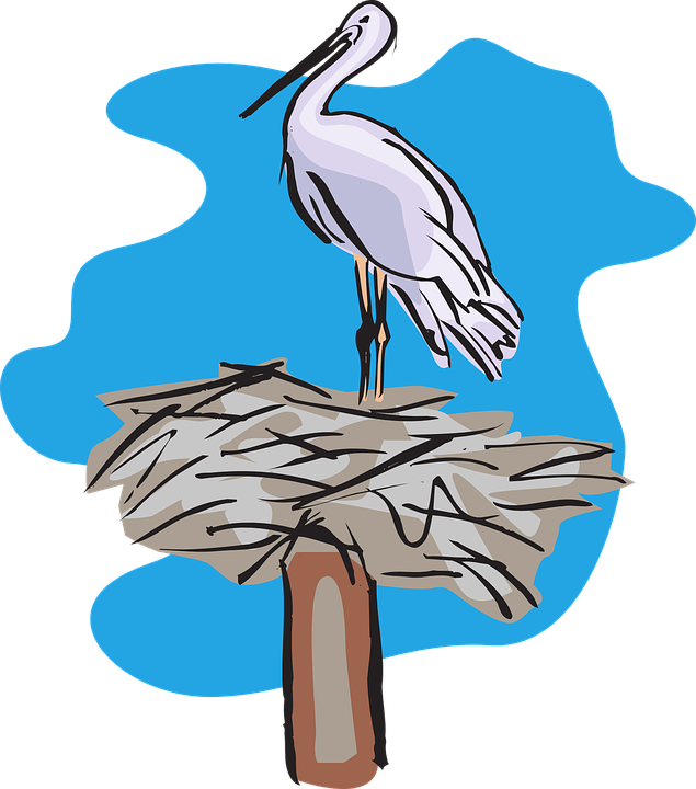 Stork Nest Vector (1129x1280)