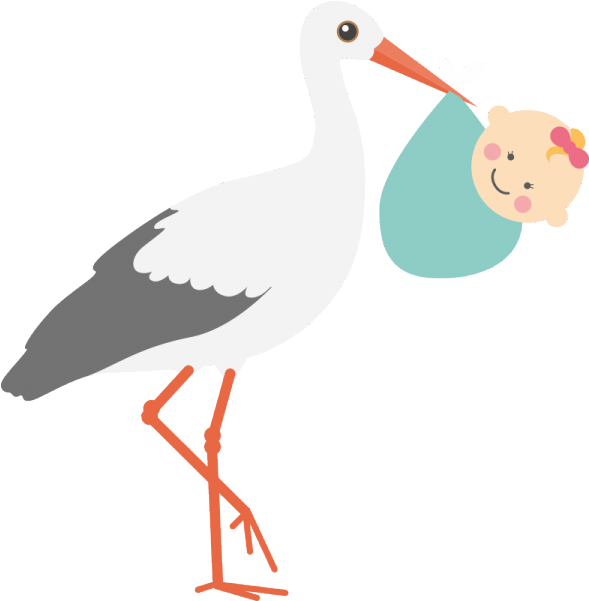 Gestational Surrogacy - Seabird (600x600)