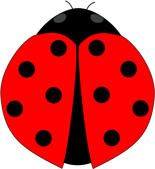 Download Png Image - Clip Art Lady Bugs (570x610)