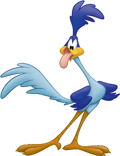 Roadrunner Clipart Animated - Road Runner From Looney Tunes (498x637)
