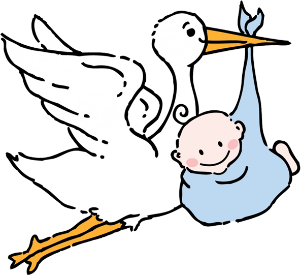 Babies - Stork Baby (600x541)