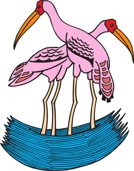 Gambar Burung Bangau Pink (1003x1280)