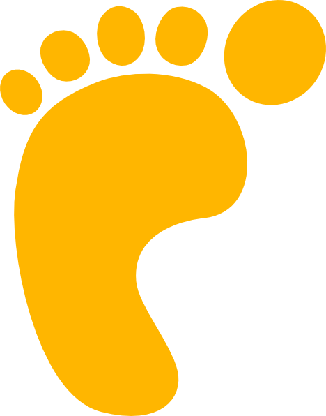 Gold Footprint Clip Art - Life Cycle Key Words (468x596)