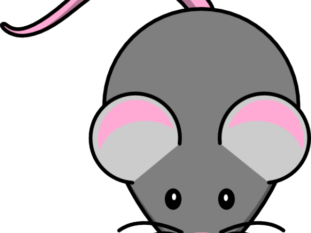 Mouse Cartoon Pictures - Silhouette America Smooth Heat Transfer Paper - 12 (640x480)