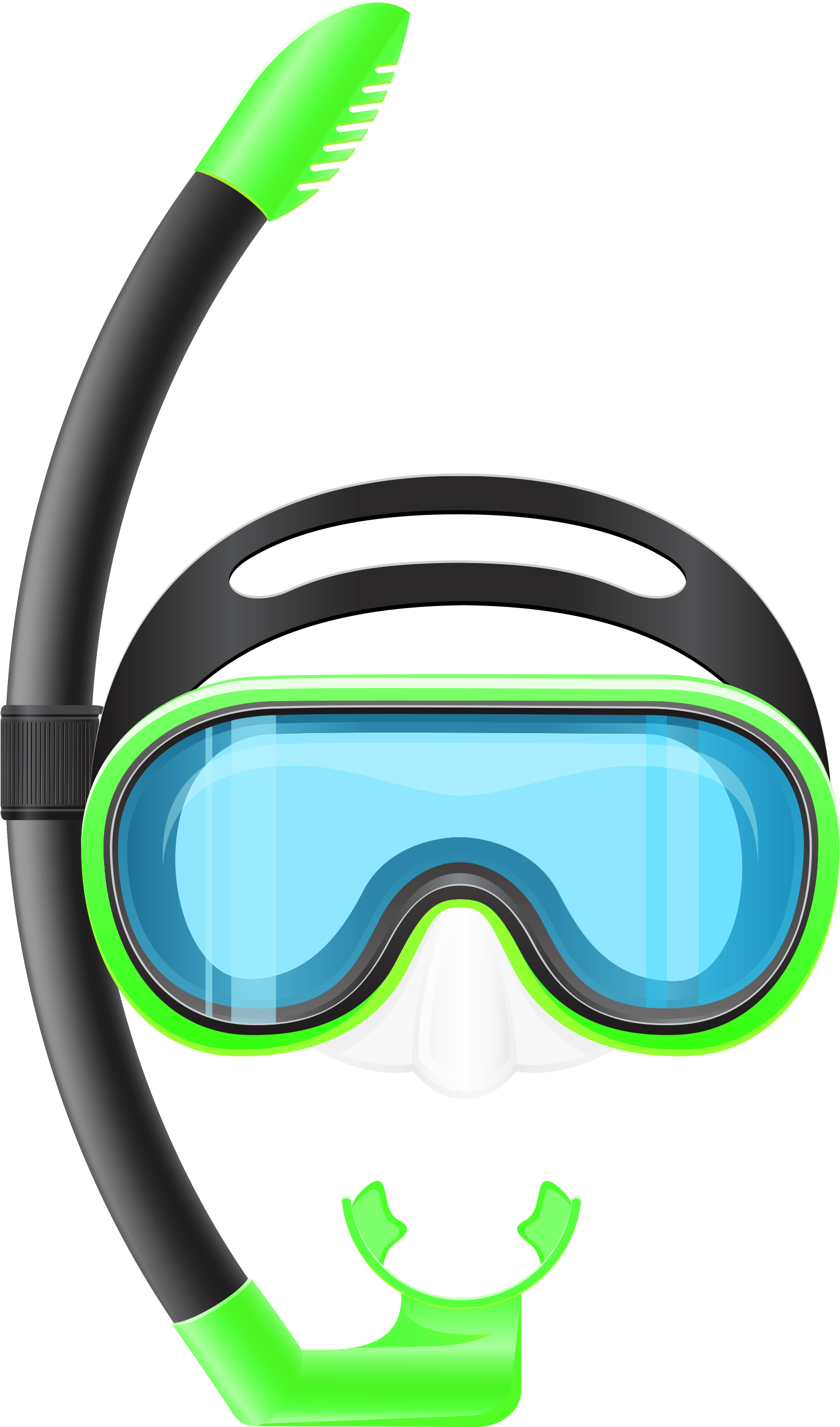 Gallery Clipart Transparent Background - Snorkel Clip Art (2123x2976)