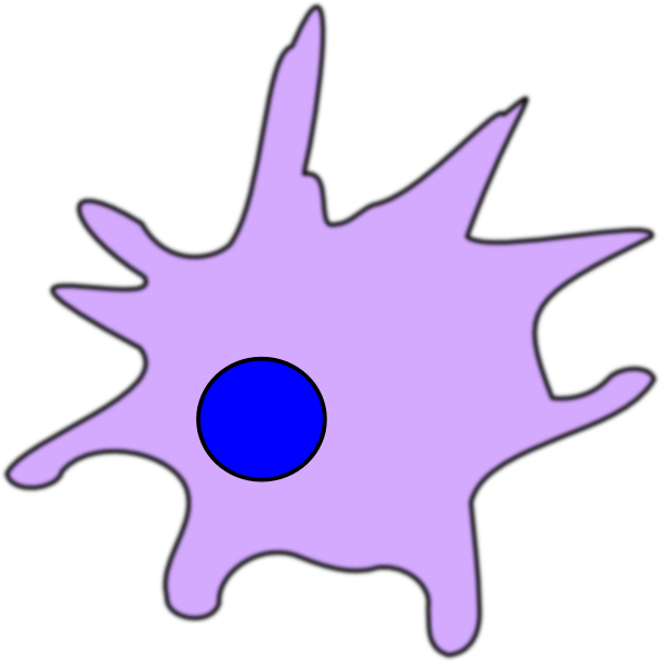 Dendritic Cell Clip Art At Clker - Dendritic Cell Clipart (600x601)
