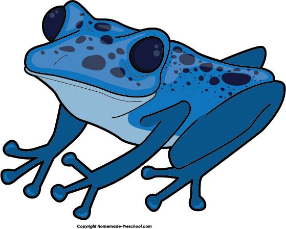 Free Frog Clipart - Poison Dart Frog Clipart (559x449)